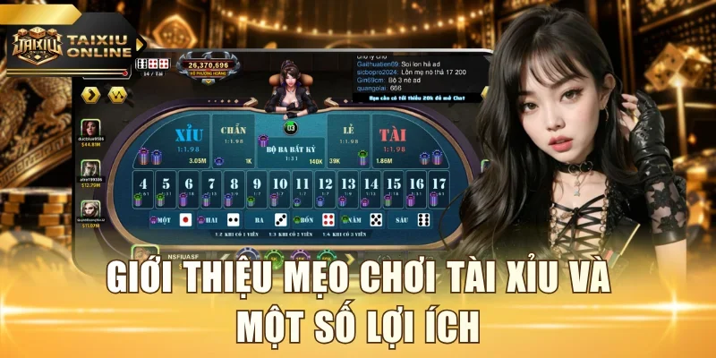 Giới thiệu mẹo chơi Tài Xỉu và một số lợi ích